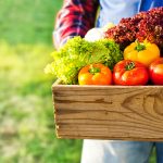 Farmers Market Rogue Produce Delivery